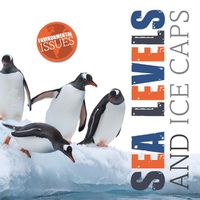 Cover image for Sea Levels and Ice Caps