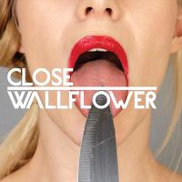 Cover image for Wallflower Feat. Fink