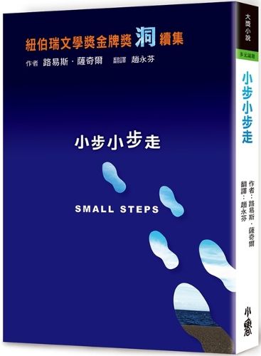 Cover image for Small Steps