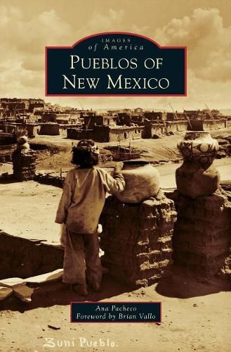 Cover image for Pueblos of New Mexico