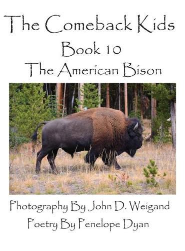 Cover image for The Comeback Kids--Book 10--The American Bison