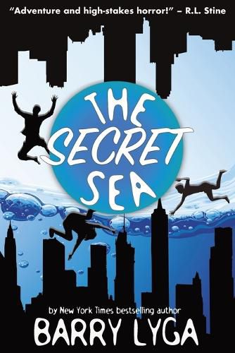 Cover image for The Secret Sea