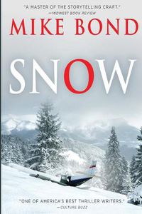 Cover image for Snow