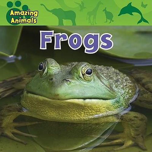 Cover image for Frogs