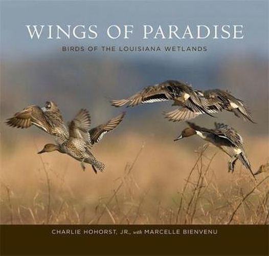 Cover image for Wings of Paradise: Birds of the Louisiana Wetlands