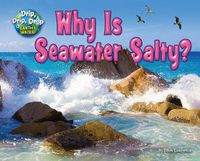 Cover image for Why Is Seawater Salty?