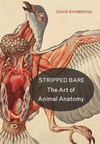 Cover image for Stripped Bare: The Art of Animal Anatomy