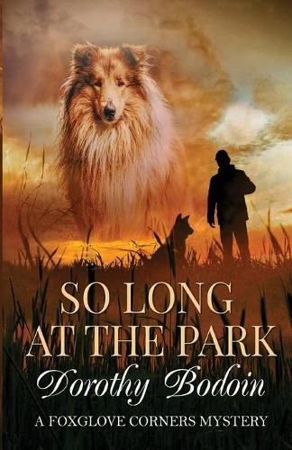 Cover image for So Long at the Park