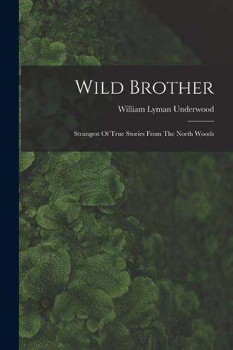 Cover image for Wild Brother