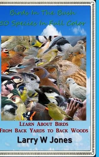 Cover image for Birds In The Bush - 50 Species In Full Color