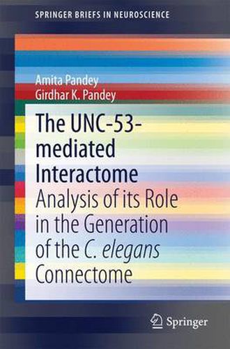 Cover image for The UNC-53-mediated Interactome: Analysis of its Role in the Generation of the C. elegans Connectome