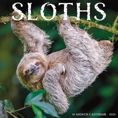 Cover image for Sloths 2026 12 X 12 Wall Calendar
