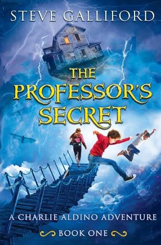 Cover image for The Professor's Secret