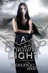 Cover image for A Fractured Light