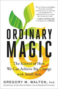 Cover image for Ordinary Magic