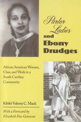 Cover image for Parlor Ladies & Ebony Drudges: African American Women