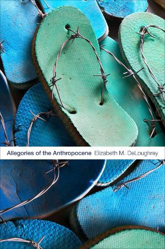 Cover image for Allegories of the Anthropocene