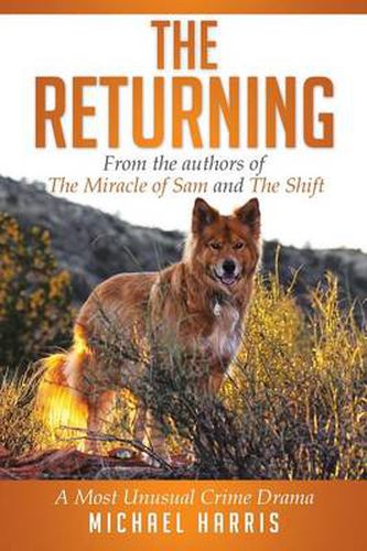 Cover image for The Returning: A Most Unusual Crime Drama