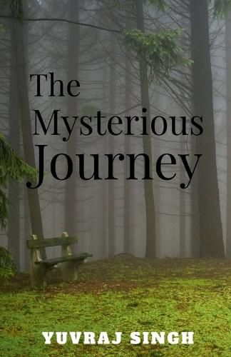 Cover image for The mysterious journey
