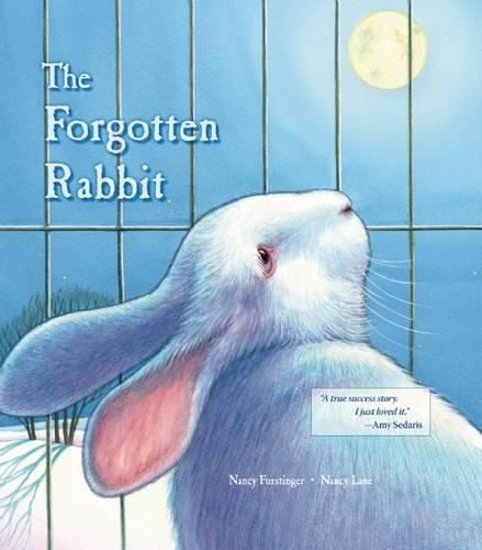 Cover image for The Forgotten Rabbit