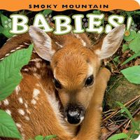 Cover image for Smoky Mountain Babies!