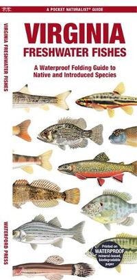 Cover image for Virginia Freshwater Fishes