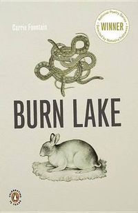 Cover image for Burn Lake