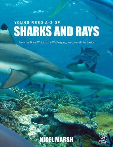 Cover image for A-z of Sharks and Rays: From the Great White to the Wobbegong, We Cover All the Basics