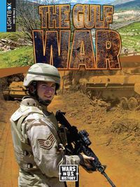 Cover image for The Gulf War