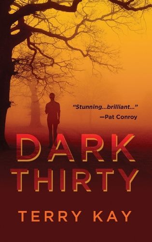 Cover image for Dark Thirty