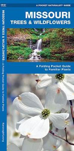 Cover image for Missouri Trees & Wildflowers: A Folding Pocket Guide to Familiar Species