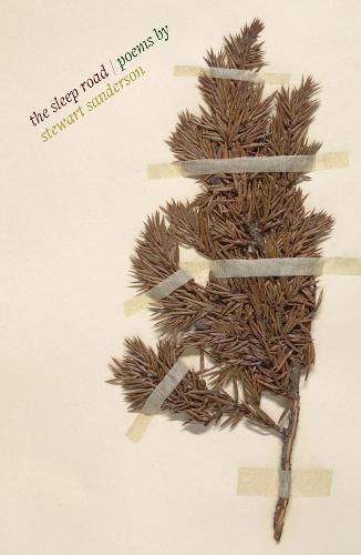 Cover image for The Sleep Road
