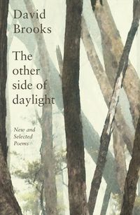 Cover image for The Other Side of Daylight: New and Selected Poems