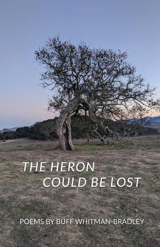 Cover image for The Heron Could be Lost