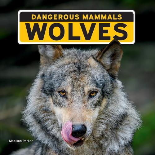 Cover image for Wolves