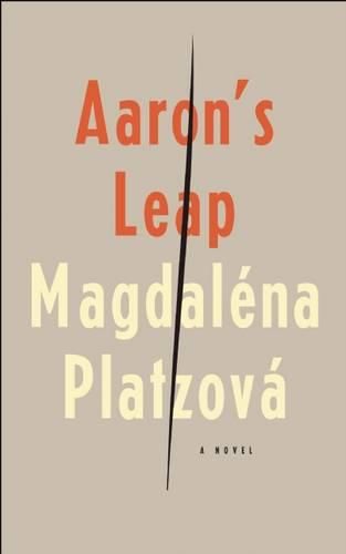 Cover image for Aaron's Leap