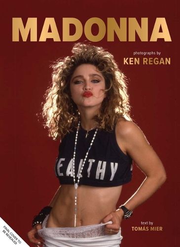 Cover image for Madonna: Into the Groove