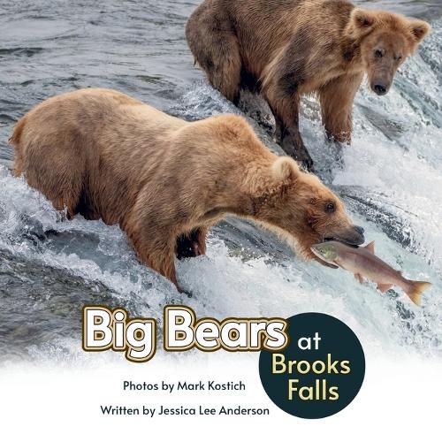 Cover image for Big Bears at Brooks Falls