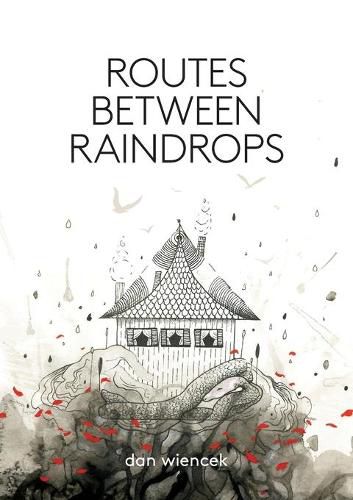 Cover image for Routes Between Raindrops