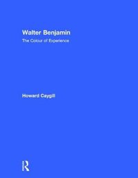 Cover image for Walter Benjamin: The Colour of Experience