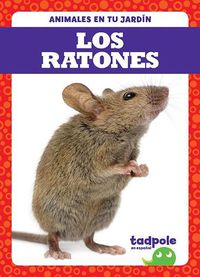 Cover image for Los Ratones (Mice)