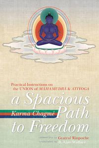Cover image for A Spacious Path to Freedom: Practical Instructions on the Union of Mahamudra and Atiyoga