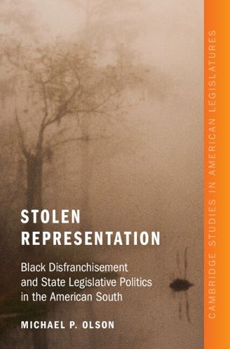 Cover image for Stolen Representation