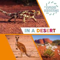 Cover image for Explore Ecosystems: In a Desert