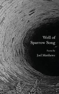 Cover image for Well of Sparrow Song