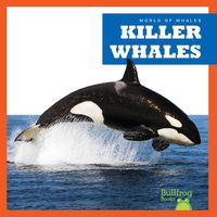 Cover image for Killer Whales