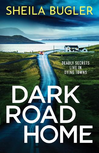 Cover image for Dark Road Home