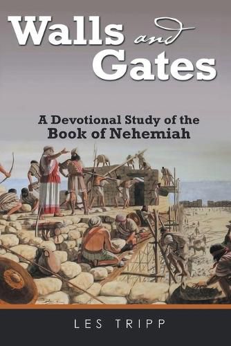 Cover image for Walls And Gates