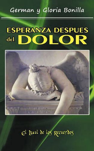 Cover image for Esperanza Despues del Dolor