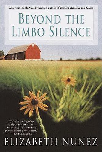 Cover image for Beyond The Limbo Silence